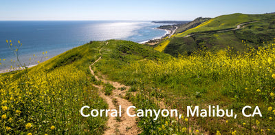 5 Best Walking Trails on the West Coast