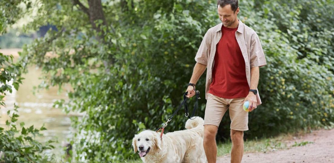 Man walking a golden retriever